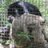 HowlerMonkey