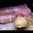 ocellated_eelpout