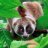 SlowLorisFan