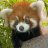 <3_RedPanda_<3