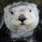 SeaOtterHQ