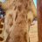 Giraffetastic