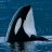 OrcinusOcean