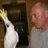 Parrotsandrew