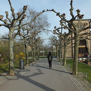 Wilhelma - April 2015