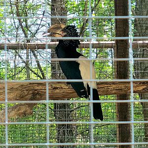 Bright's Zoo Visit - April 19, 2025