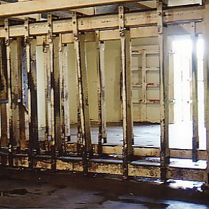 Elephant crush inside barn  (off exhibit)  African lion Safrai park Canada