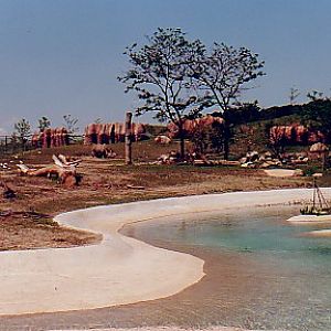 Water hole Africa exhibit @ Toronto zoo Canada
