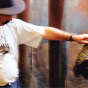 My self patting Patrick @ Toronto zoo (off exhibit) Toronto zoo Canada