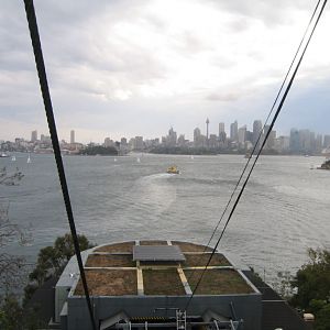 Taronga Zoo Sky Safari