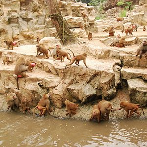 Great Rift Valley of Ethiopia exhibit