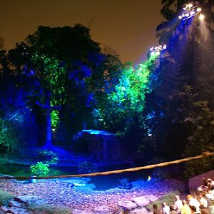 Night Safari Amphitheatre