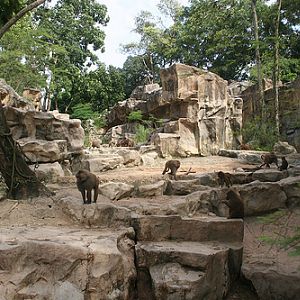 Great Rift Valley of Ethiopia exhibit