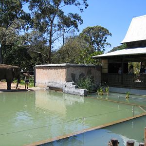 Elephant Village - Melbourne Zoo