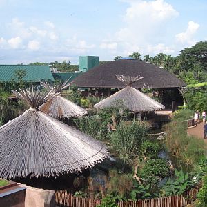African Wetlands, Jurong BirdPark