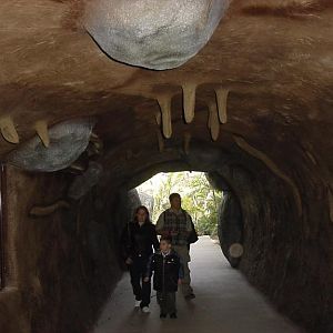 Wombat burrow, Australia Zoo