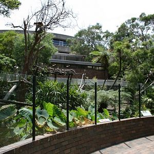 Tree-kangaroo exhibit, Taronga Zoo