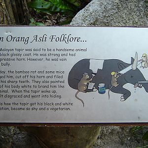 Southeast Asian Folklore