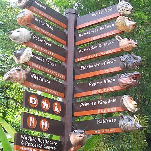 Direction signs, Singapore Zoo