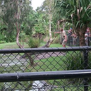 Australia Zoo - Queensland