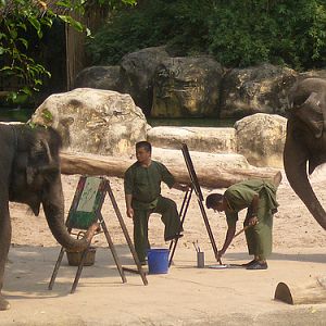 Painting session, Singapore Zoo