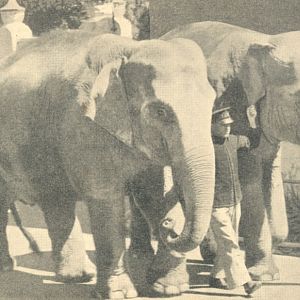 Jill and Ranee, Taronga, ~ 1944