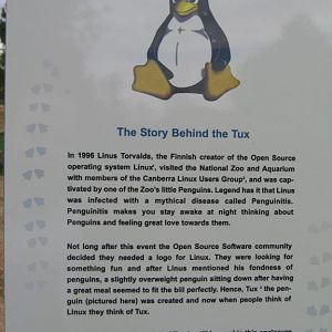 The story behind Tux