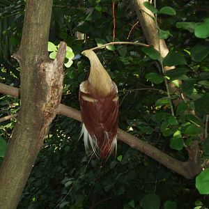 Singapore and Sabah 2005 023