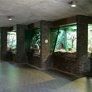 Clore Rainforest exhibit, London Zoo
