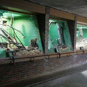 Clore Rainforest exhibit, London Zoo