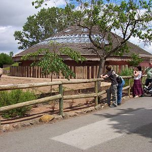 Tsavo Rhino Exhibit
