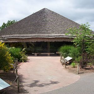 Tsavo Rhino Exhibit