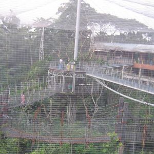 Lory Loft, Jurong BirdPark