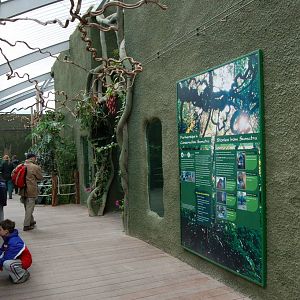 Inside Realm of the red ape 1