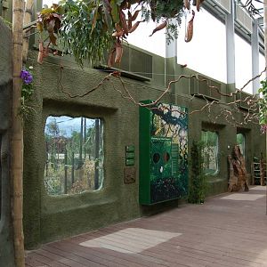 Inside Realm of the red ape 2