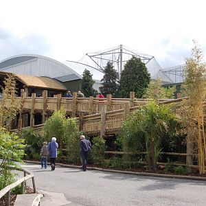 Outside Realm of the Red Ape