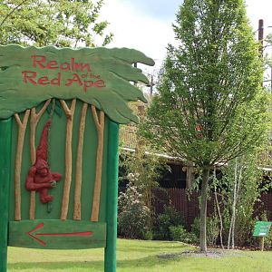 Outside Realm of the Red Ape