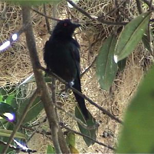 Help!!! Again Please!!