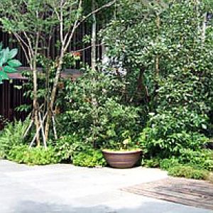 Singapore Zoo Entrance Panorama