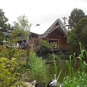 Melbourne's Orang-utan Sanctuary..