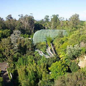 Owen's rain forest aviary