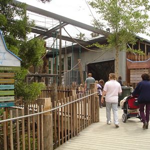 Melbourne's Orang-utan Sanctuary..