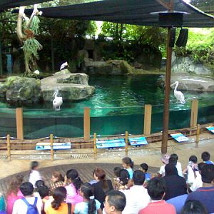 Splash Safari, Singapore Zoo