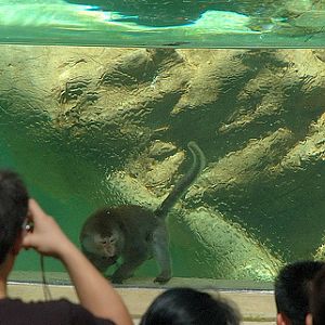 Cargo, Singapore Zoo