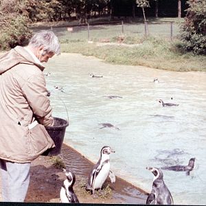 me feeding penguins Whipsnade 1992