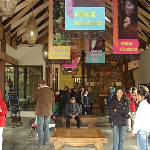 Melbourne's Orang-utan Sanctuary..