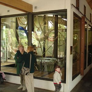 Melbourne's Orang-utan Sanctuary..