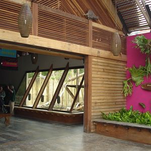 Melbourne's Orang-utan Sanctuary..