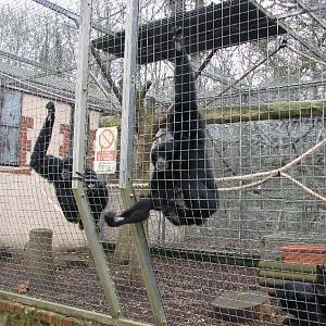 Marwell Zoo March 2007