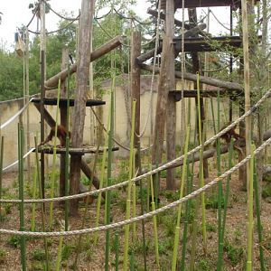 Melbourne's Orang-utan Sanctuary..